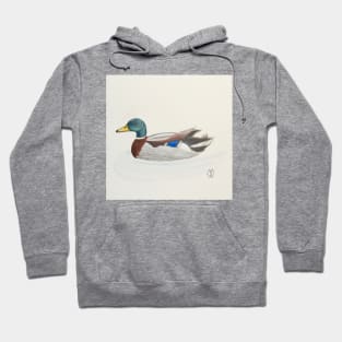 Mallard duck drake Hoodie